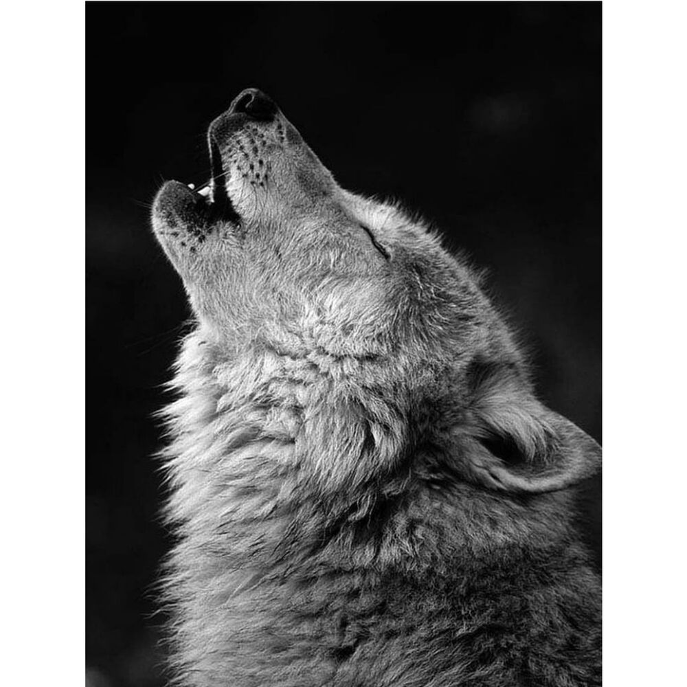 Custom Fridge Magnet Gray Howling Wolf Home Kitchen Decor